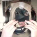 hunkymcfunky