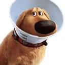 jonnydeewsc
