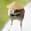endesman