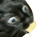 snowryze