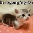 mysoginy