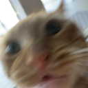 Zylon