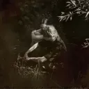 tijns