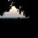 pedronandes