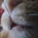 robbiesstuff