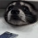 berry_thief