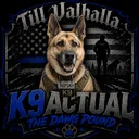 k9actual13