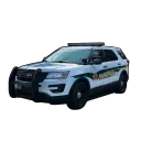 yourlocalpopo