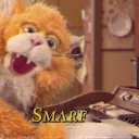 dr.catman