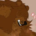 brasi_the_bear