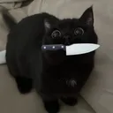 lemonlyy