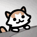 citrus_mr