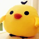 bird1114