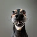 mister.coca