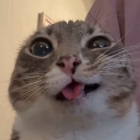 avatar 𝓣𝓮𝓻𝓪 𝓑𝔂𝓽𝓮