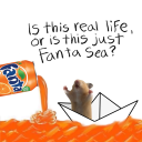 avatar 𝓣𝓮𝓻𝓪 𝓑𝔂𝓽𝓮