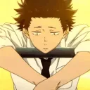 naotax avatar