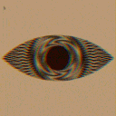 noctistenebris