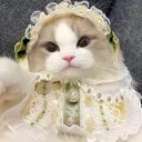 littlemarss