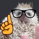 kyubert4445 avatar