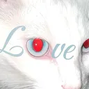 jsdrei