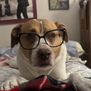 avatar 𝕭𝖗𝖎𝖉𝖌𝖊