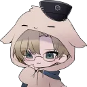 alpacaoho