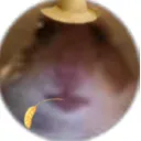 manbino