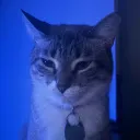 mahmsa