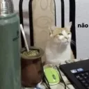 projetok