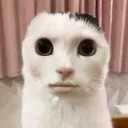 creature9899