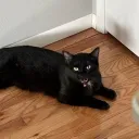 mugggy