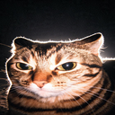 User icon