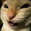 monka0001