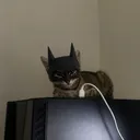 kevandre