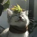isbili