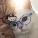 avatar ;