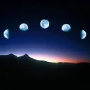 sunnymoonadmin
