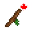 canadien77