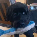 lolcoop