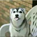 mmlh