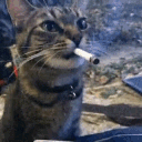 jemko