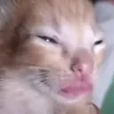 dontevil