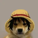 rasec1210 avatar