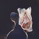 aipolygon