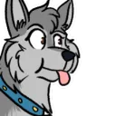 silver_huskey