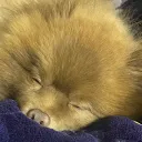tanukiti0214