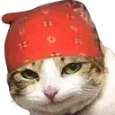dovydukas_ avatar