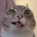 em1rkef1r