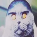 aux_user